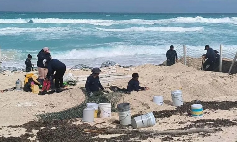 Huevos de tortuga marina lograron ser protegidos antes de que la marea de tormenta provocada en playas de Cancn por el huracn 'Beryl' pudiese afectarlos o ahogarlos.