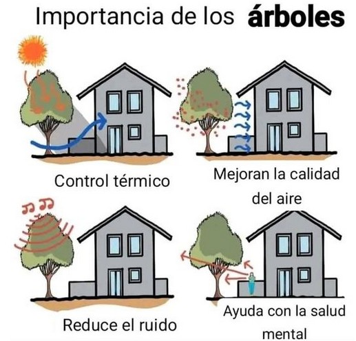 La importancia de los rboles.