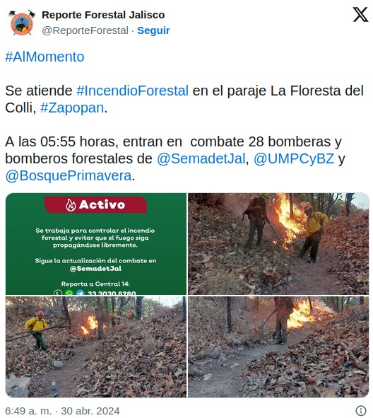 Reporte Forestal Jalisco.