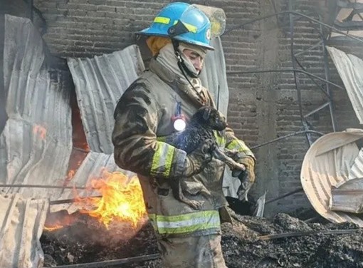 Rescate de cachorro en Tonalá.