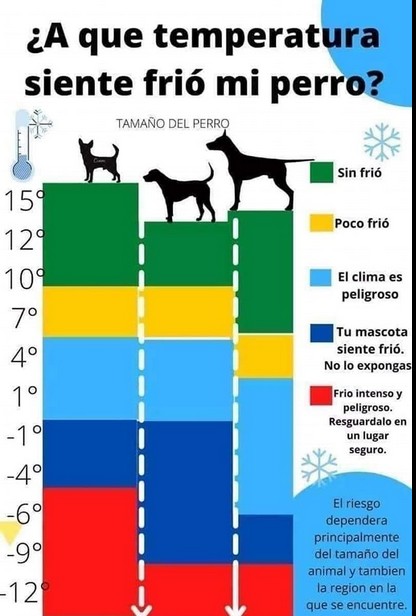 ¿A qué temperatura siente frío mi perro?